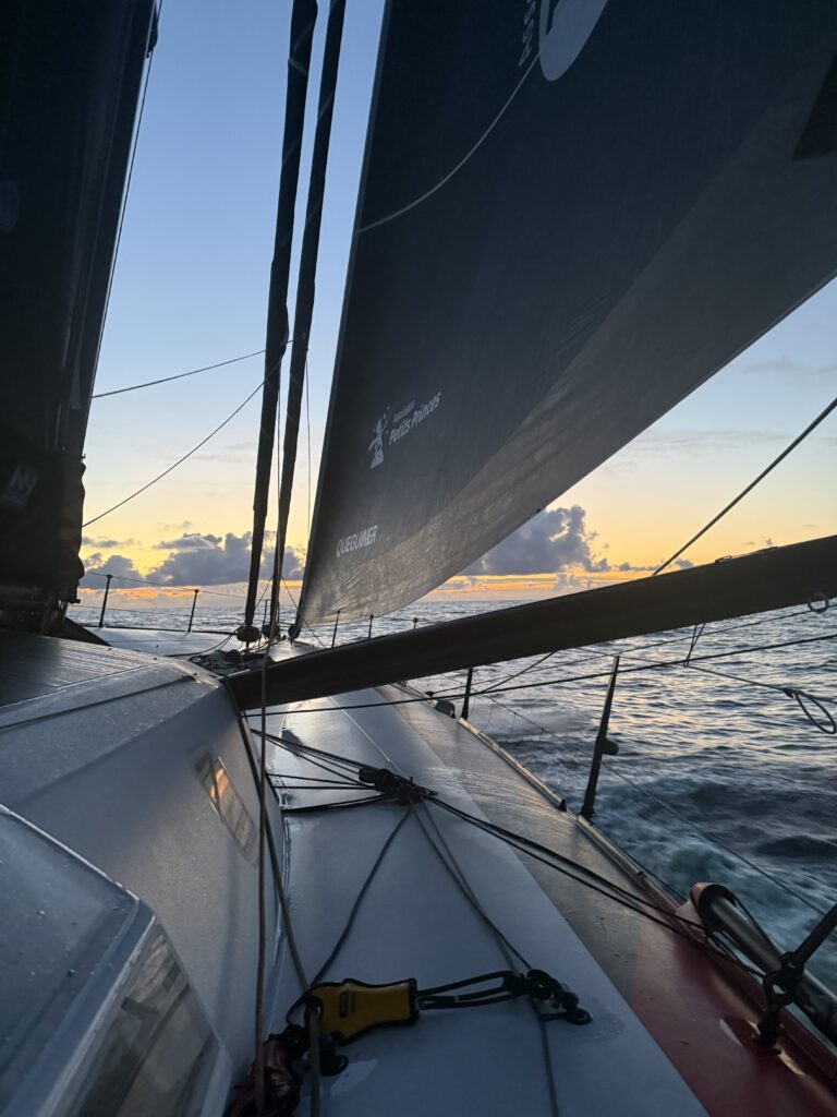 img 0011